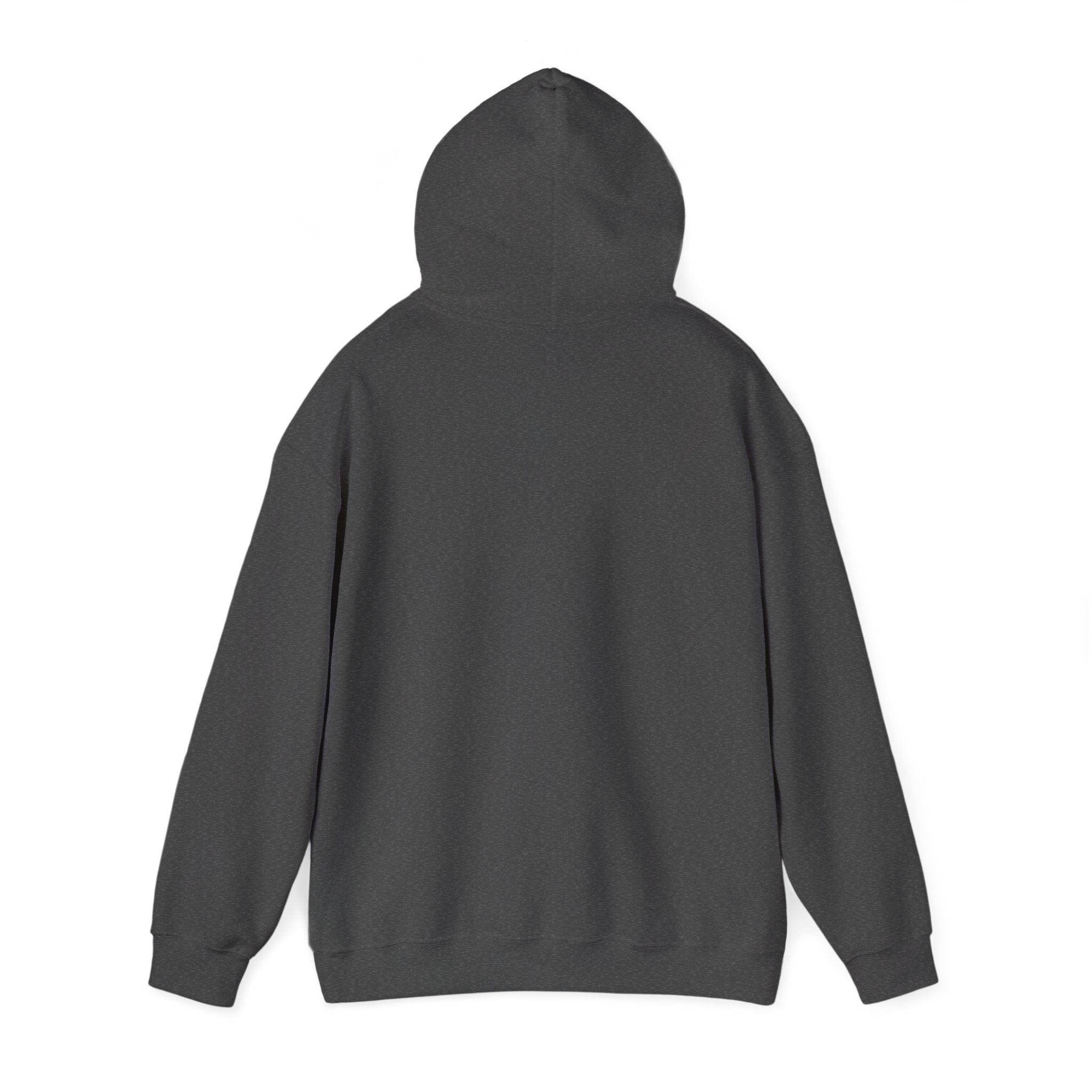 Astro Vibe Hoodie