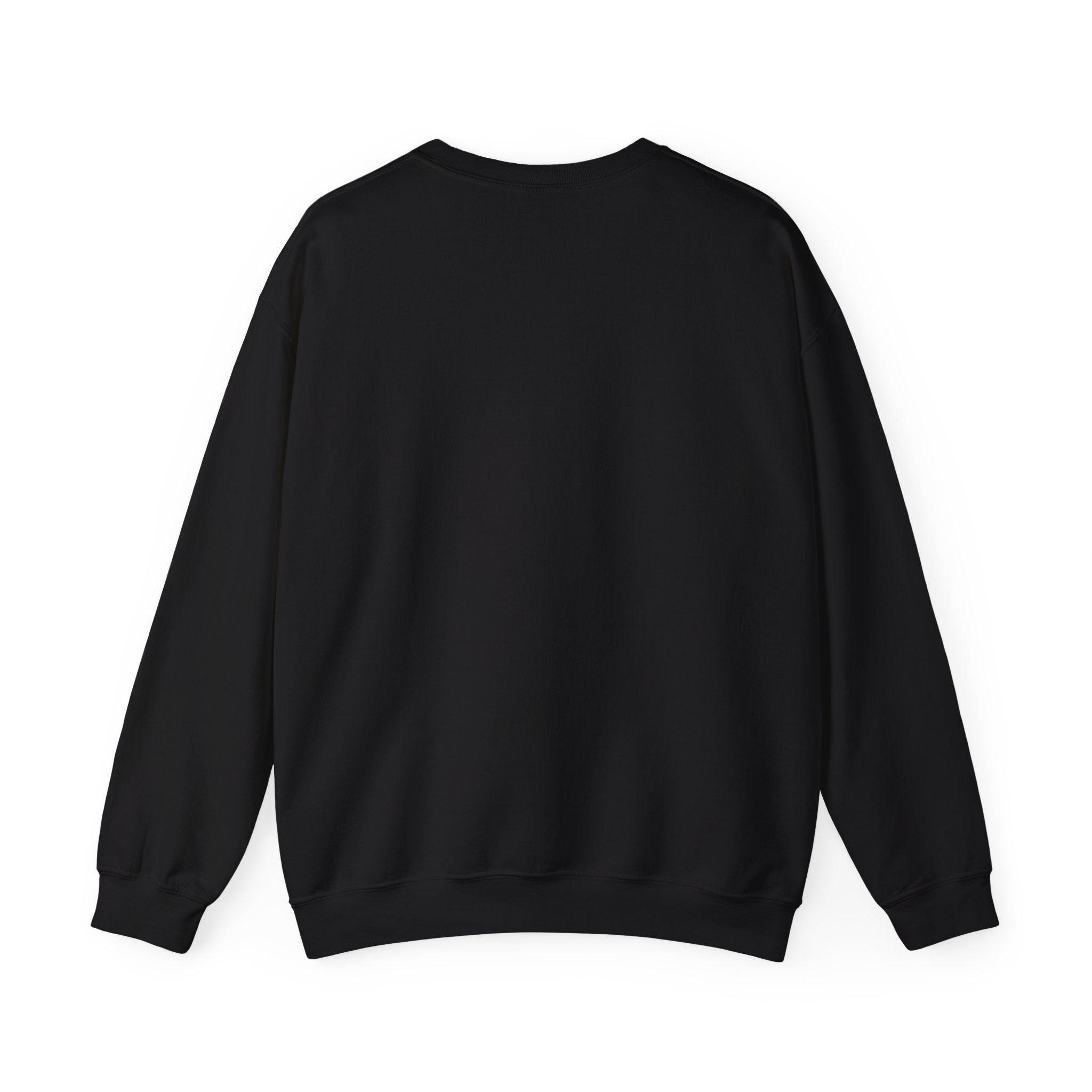 Arc Star Long sleeve