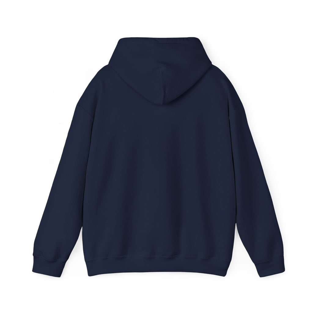 Astro Vibe Hoodie
