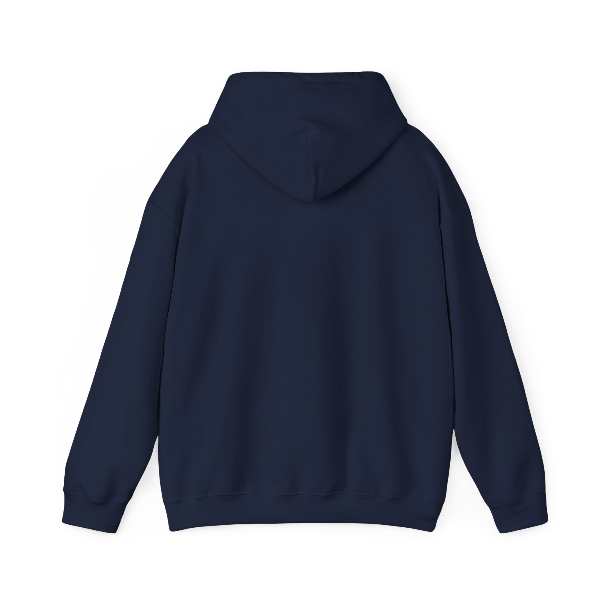 Astro Vibe Hoodie