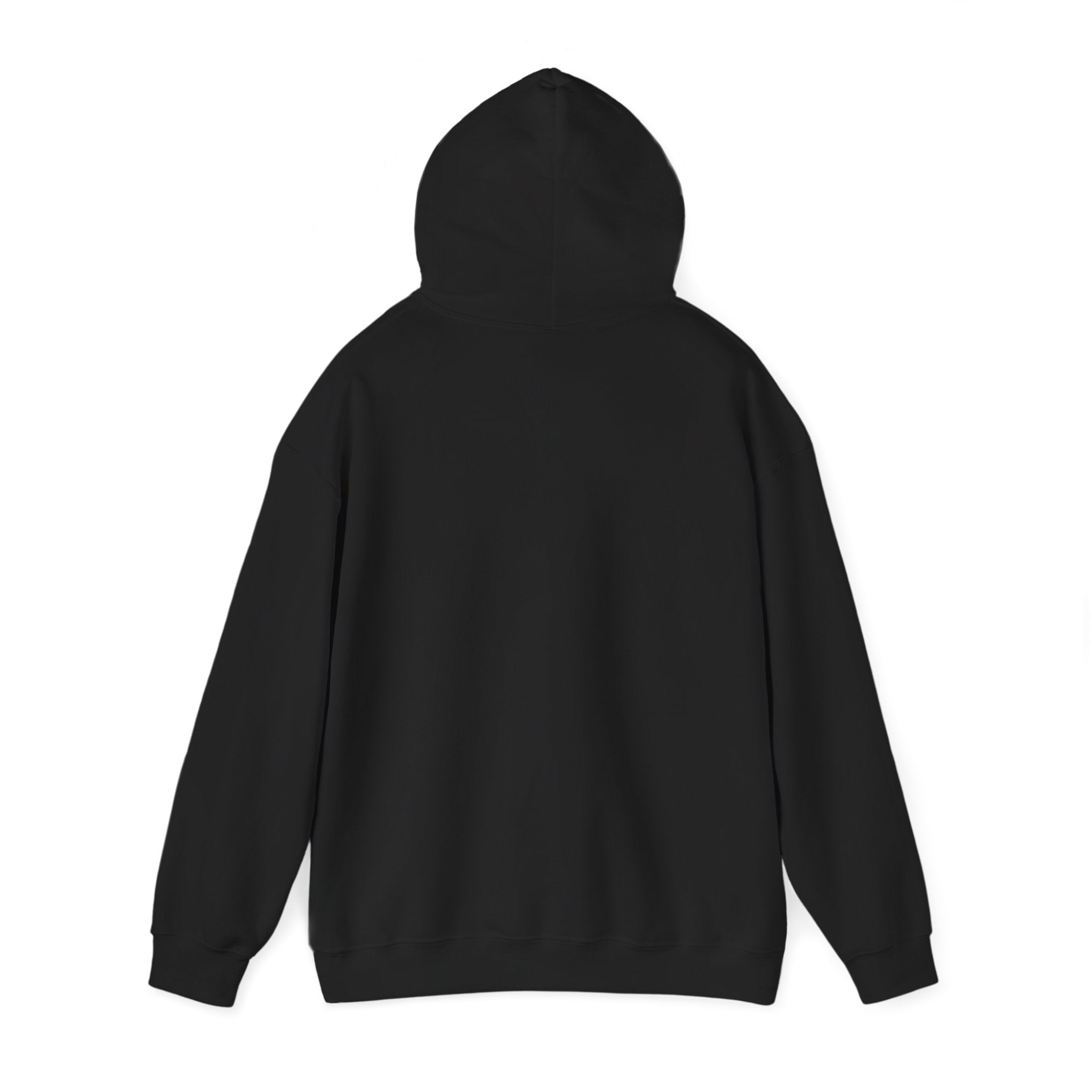 Astro Vibe Hoodie