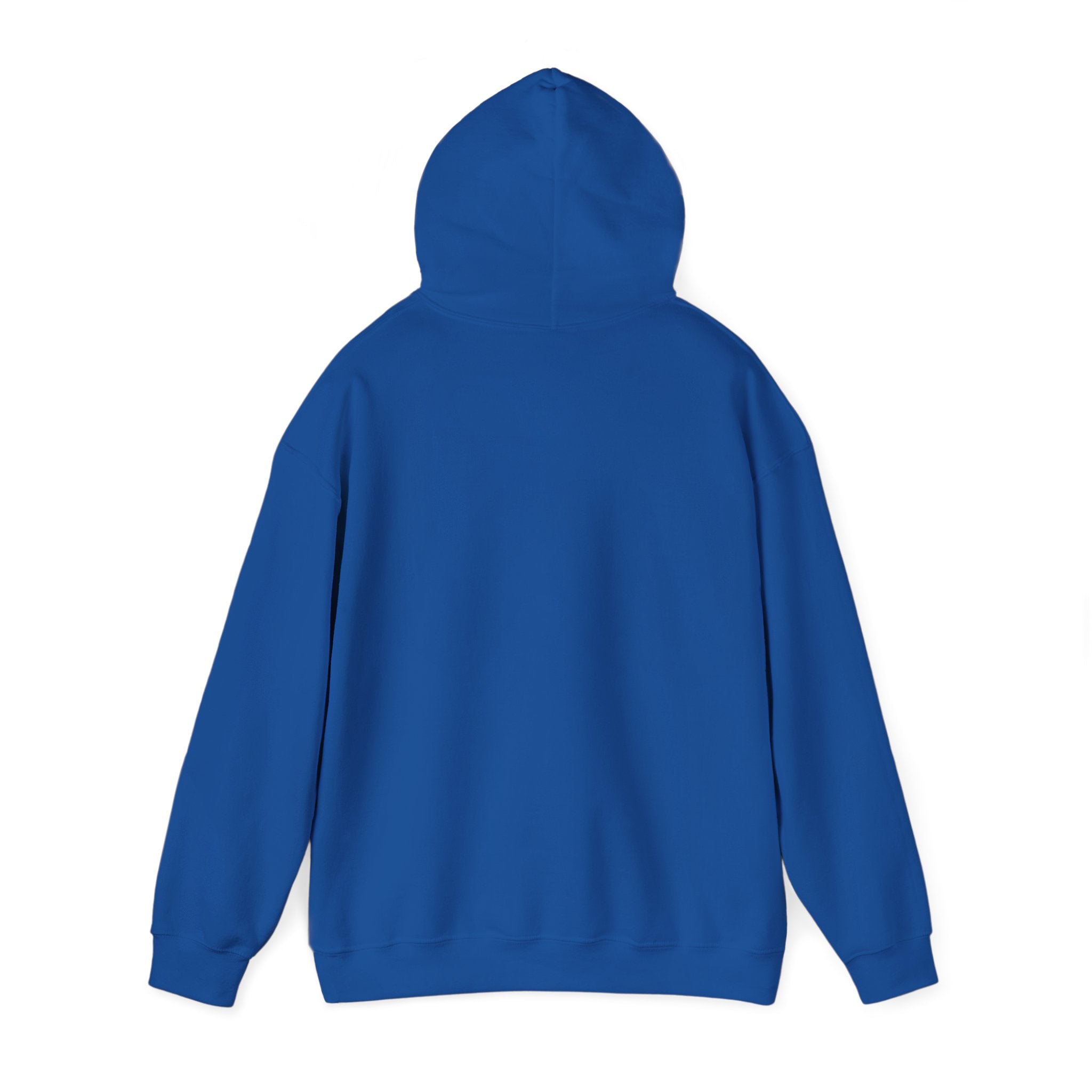 Astro Vibe Hoodie