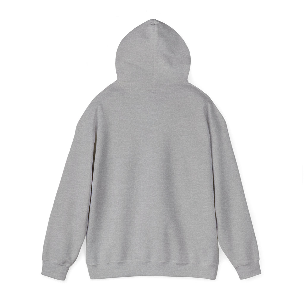 Astro Vibe Hoodie